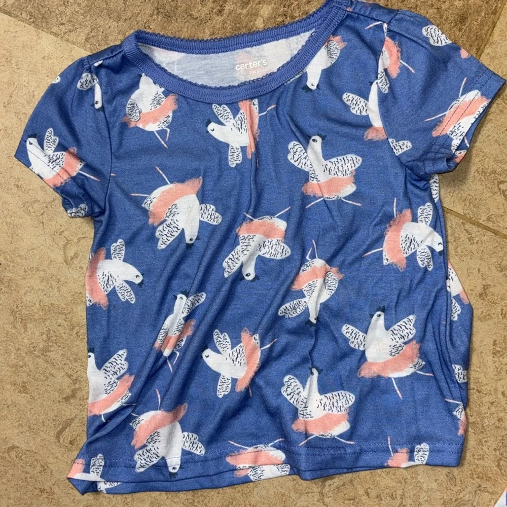 Carters chicken ballerina Girls pajamas set